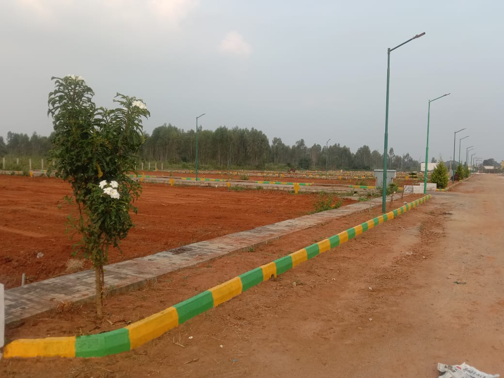 quality-developers-projects